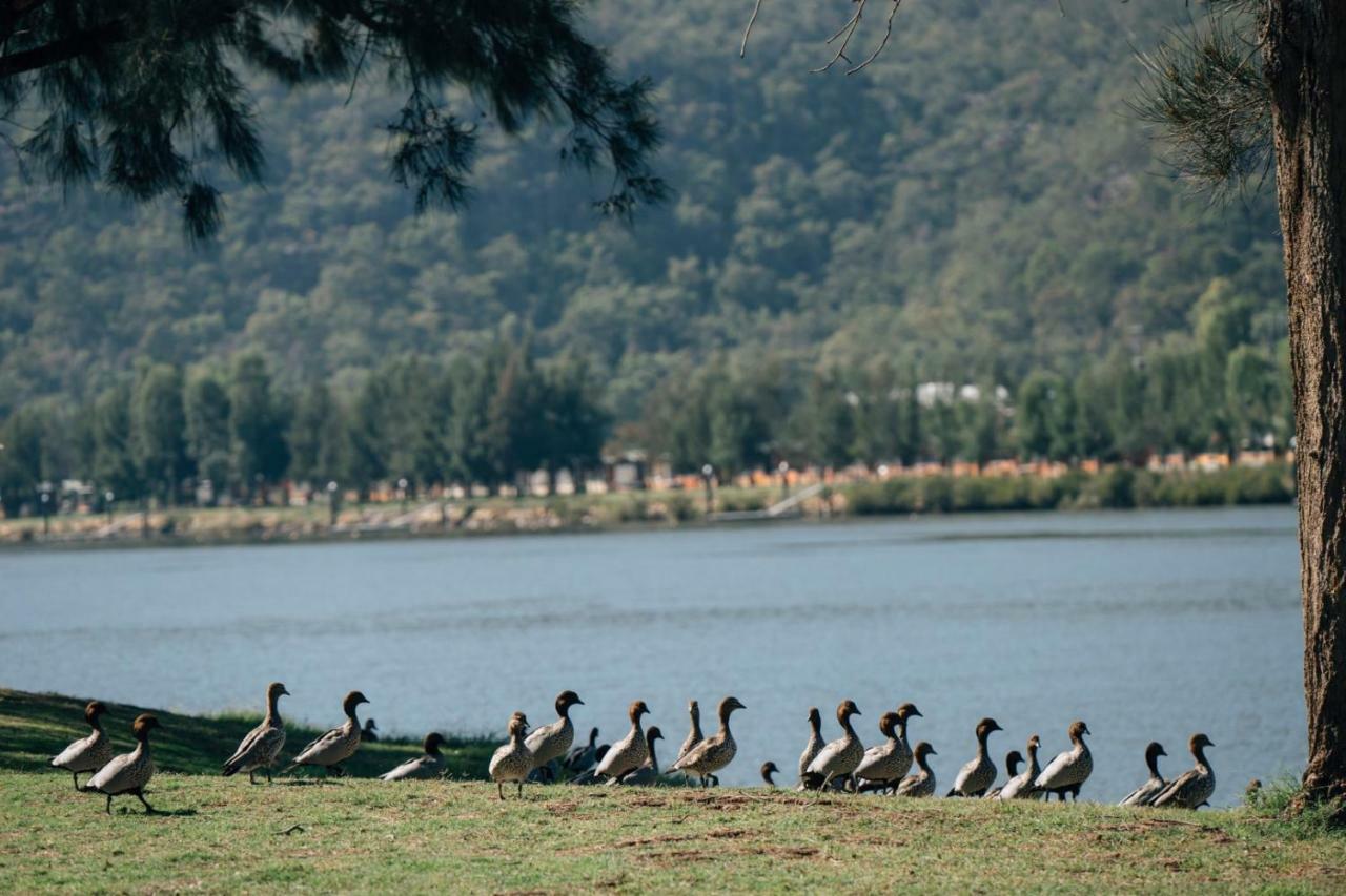 Del Rio Riverside Resort Wisemans Ferry Εξωτερικό φωτογραφία